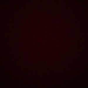 Meet your Posher, Shanya